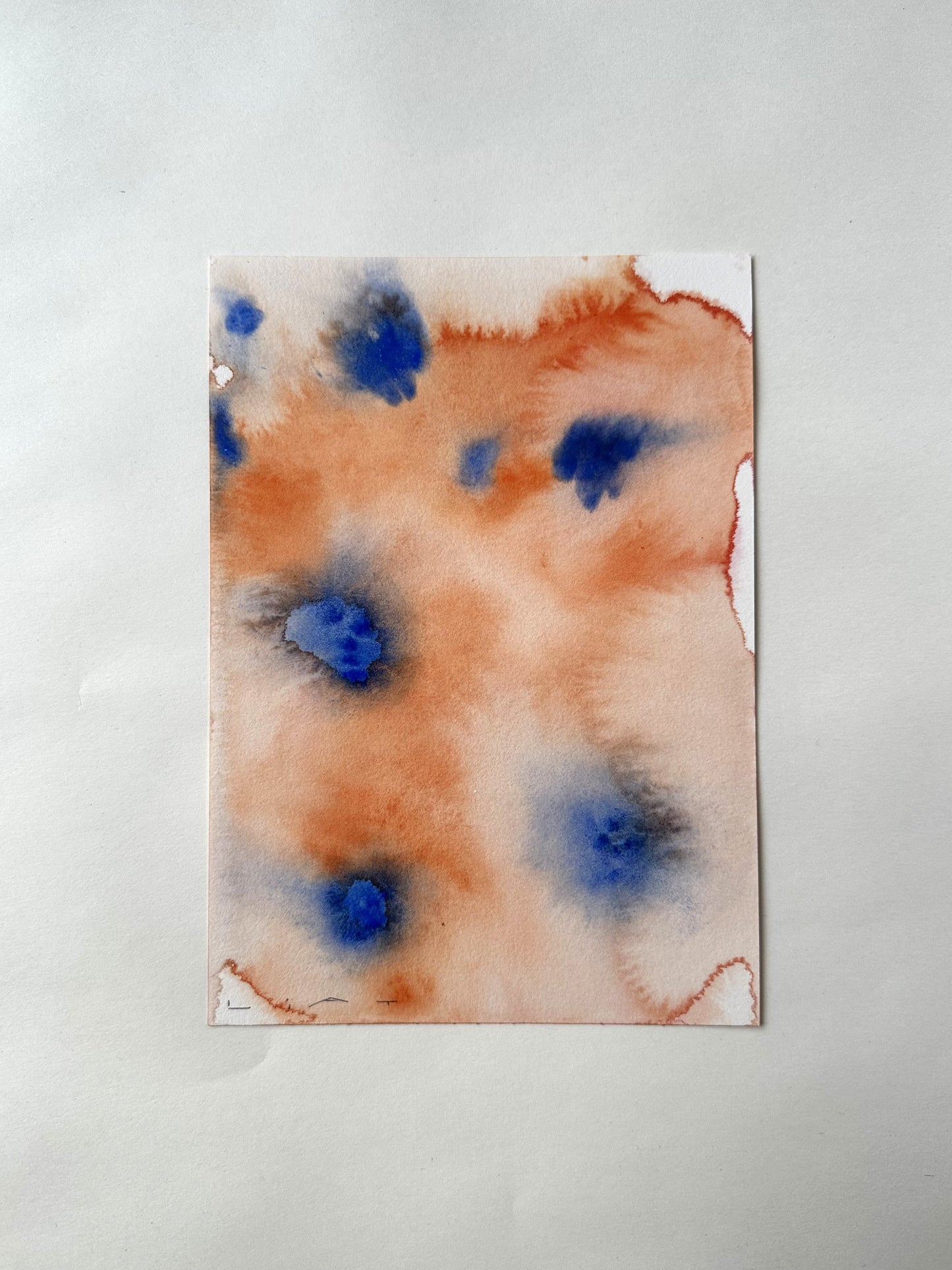 Liat Greenberg, 'Orange Flowers' 2026