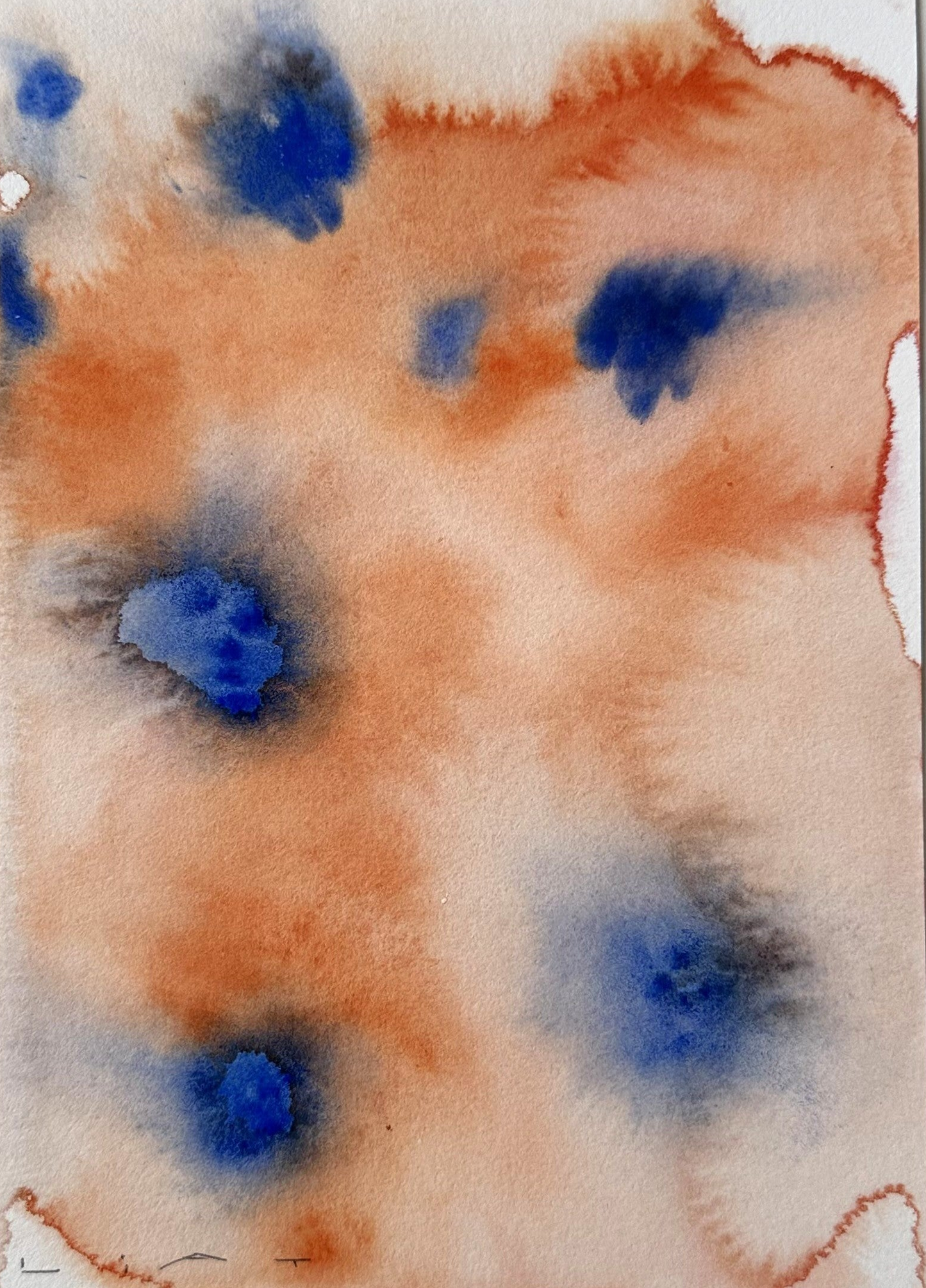 Liat Greenberg, 'Orange Flowers' 2026