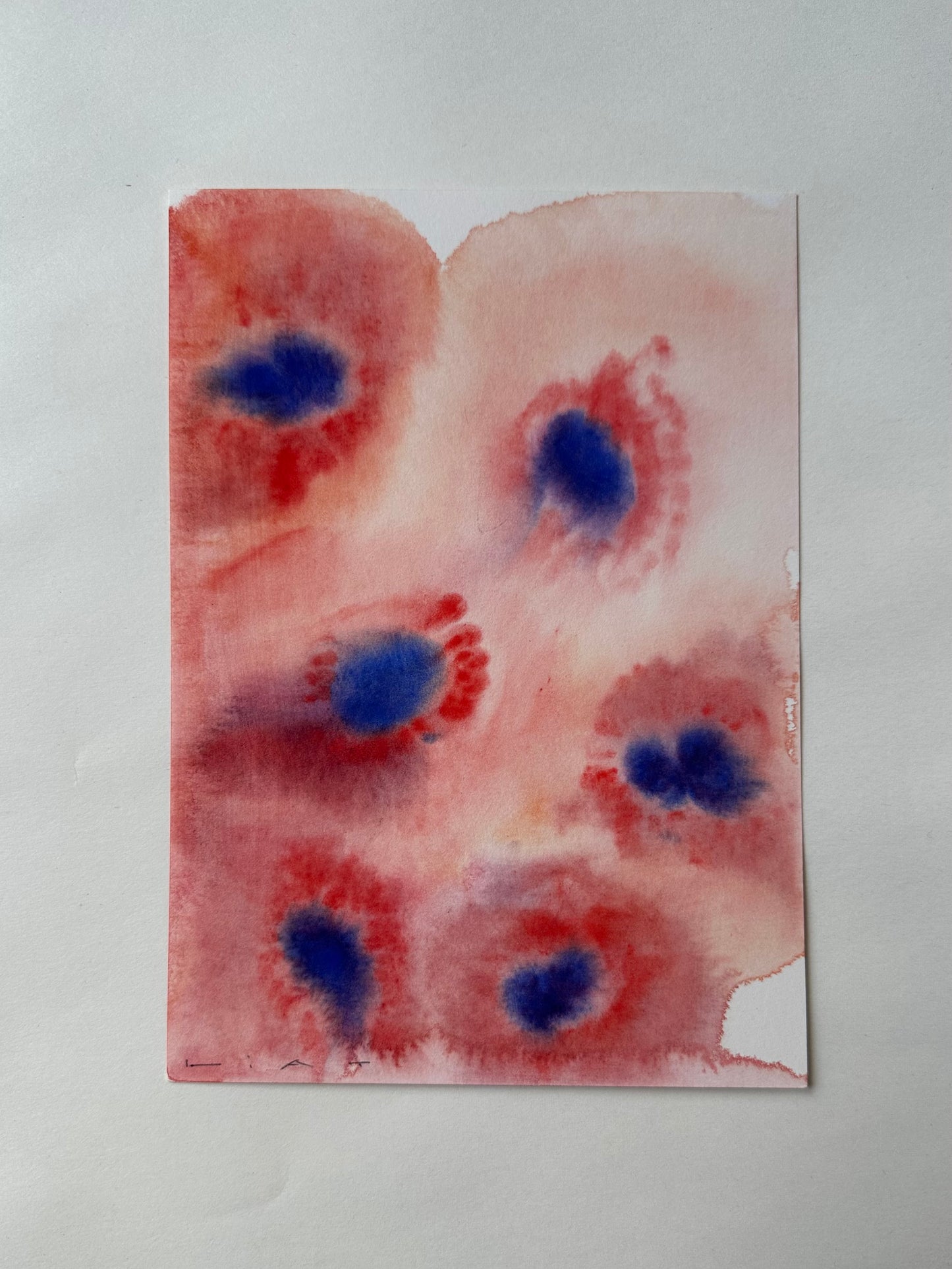 Liat Greenberg, 'Red flowers' 2026