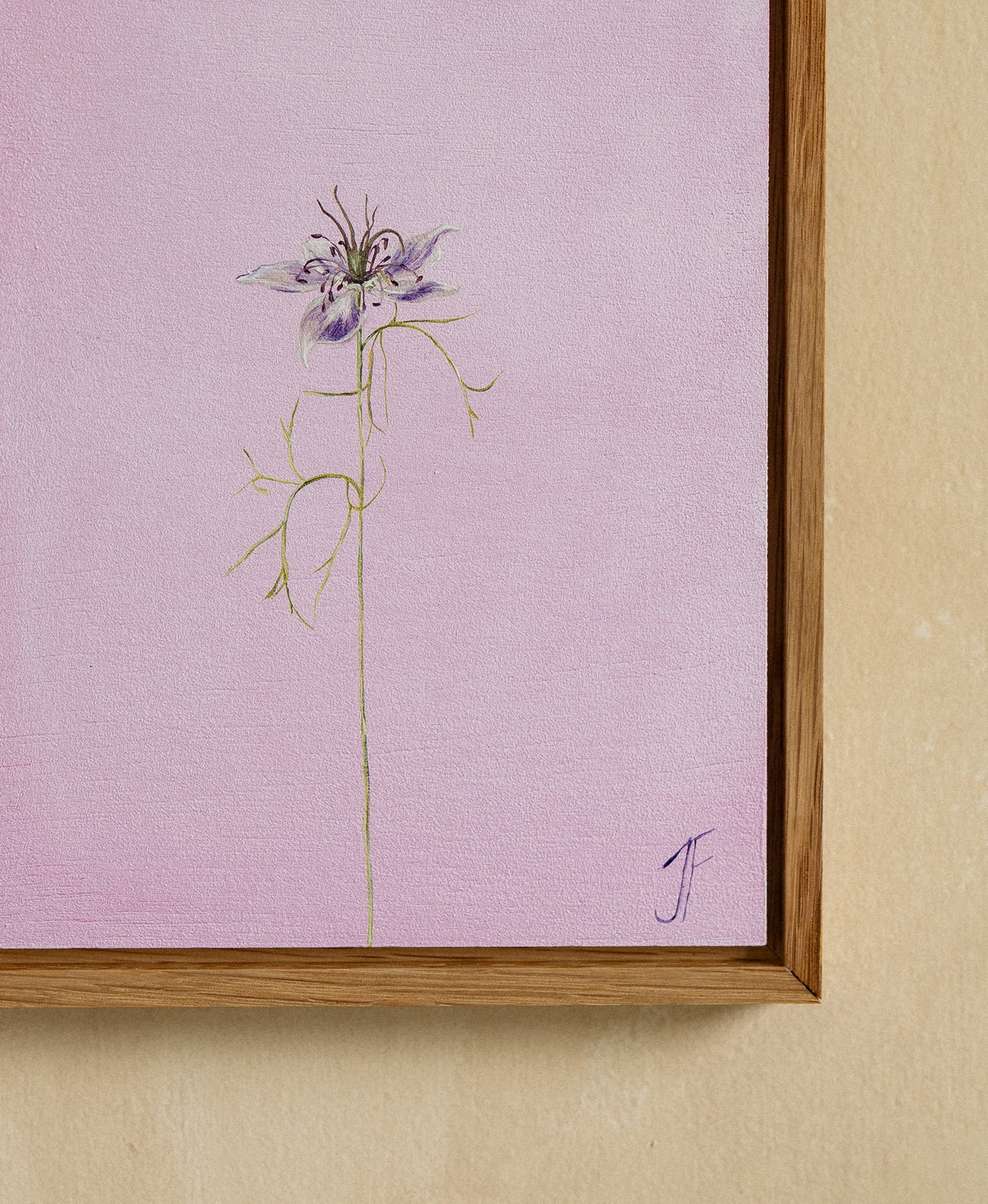 Jasmyn Fraser ‘Love in a Mist' 2026