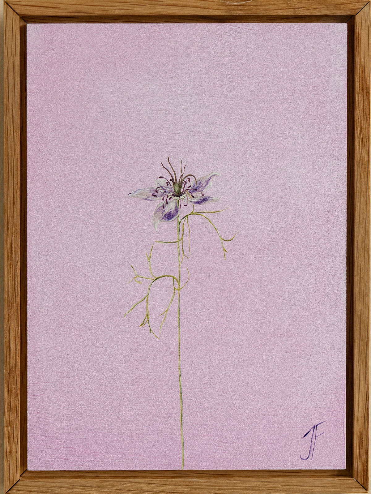 Jasmyn Fraser ‘Love in a Mist' 2026
