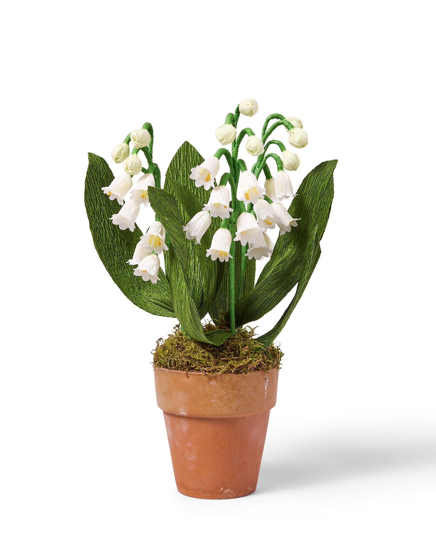 Blooms by Beam Paper Lily of the Valley