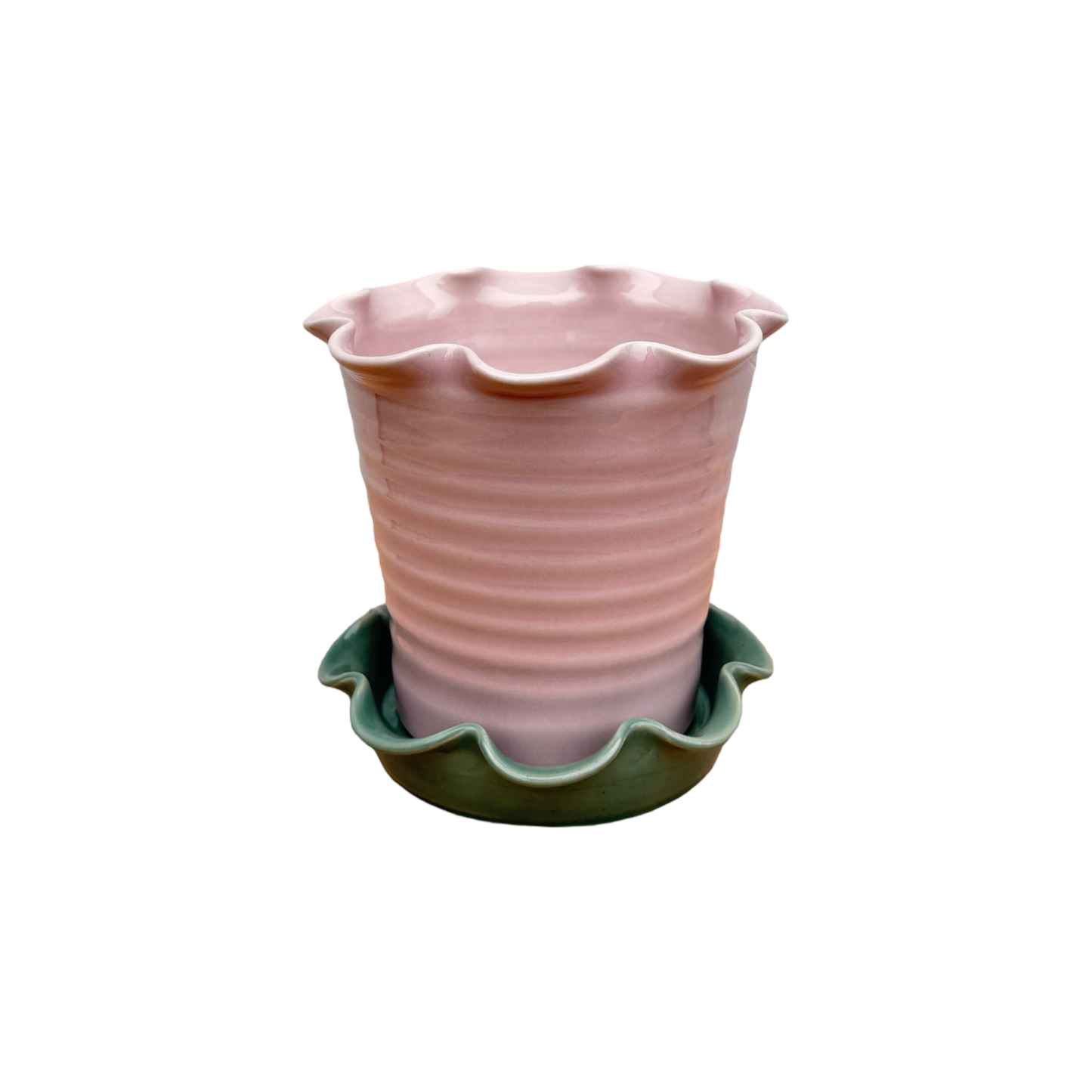 Domenica Marland x Paige Mitchell, Small Plant Pot in Pink or Green