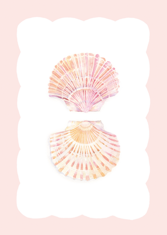 Hannah Watters, Salcombe Scallops Print