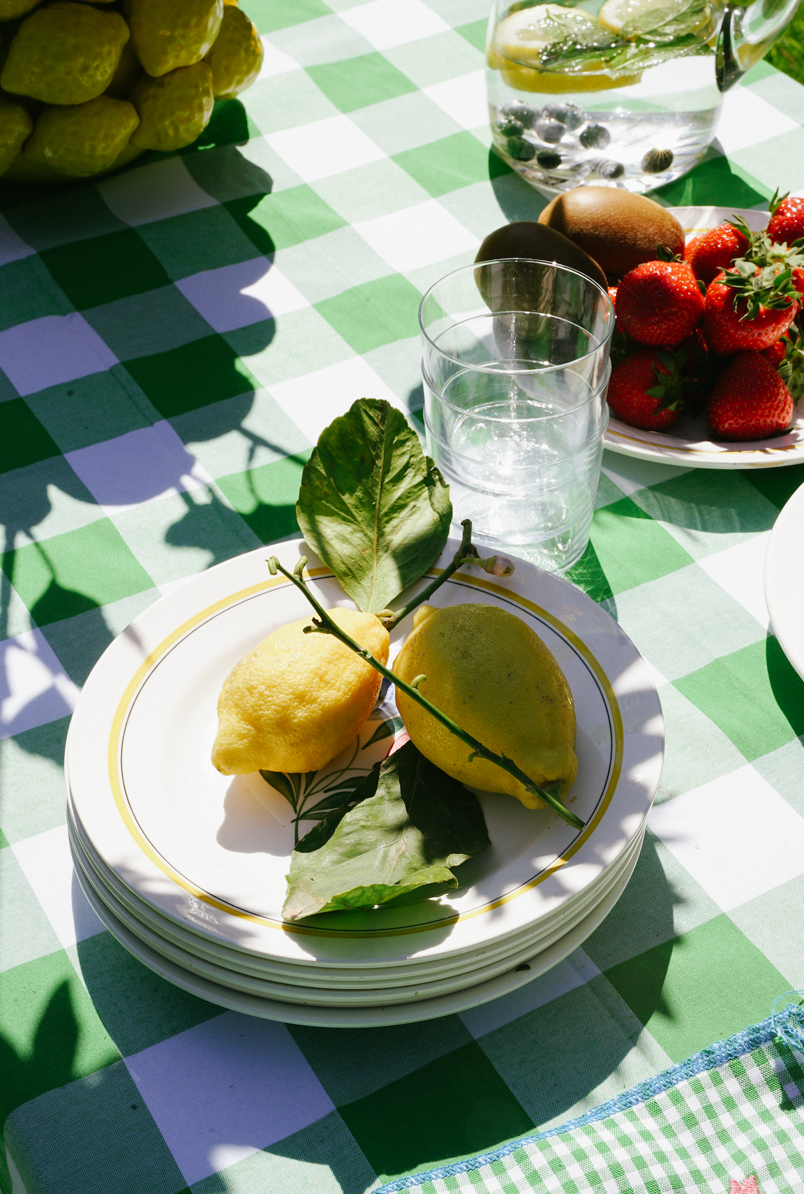 Green and White Tablecloth