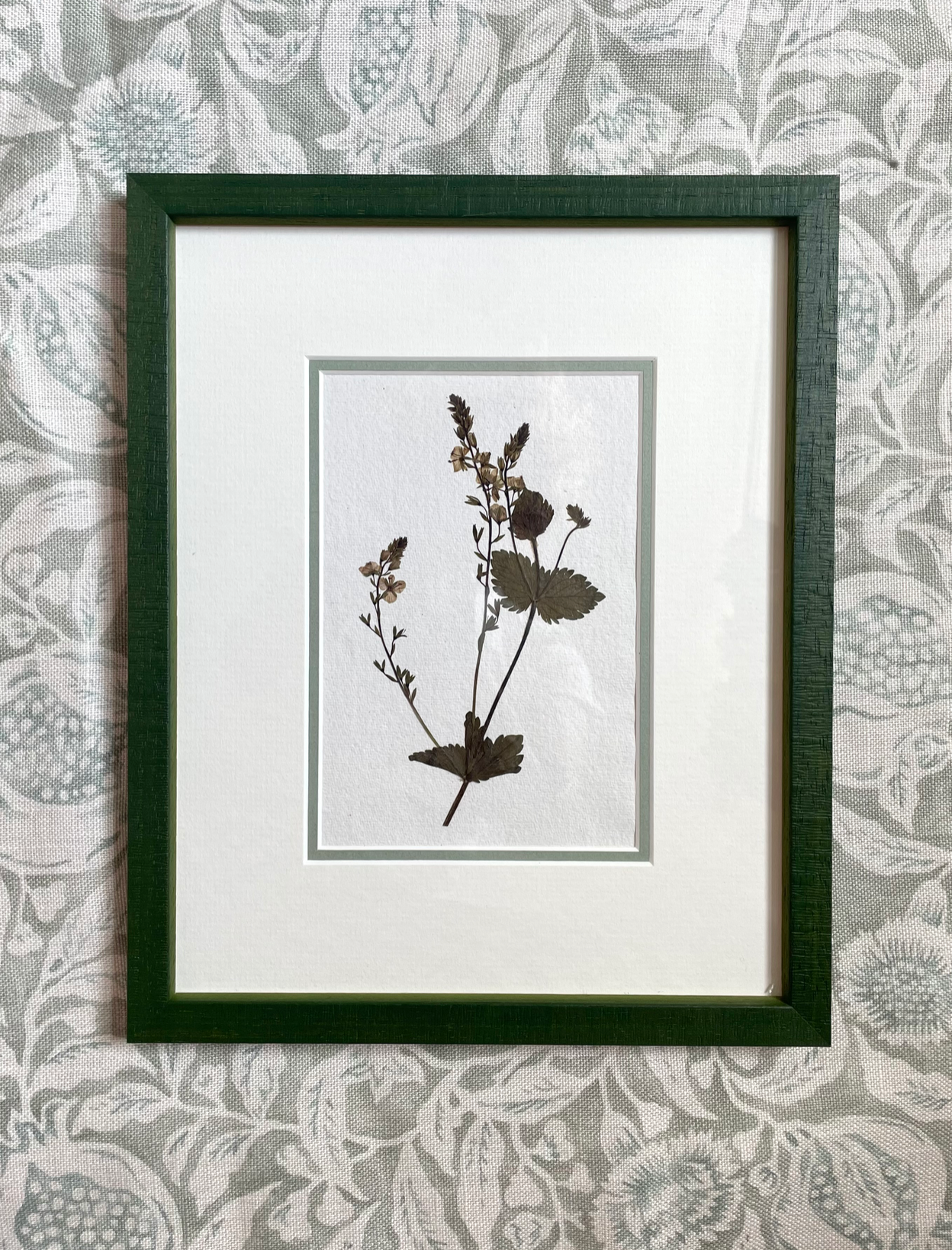 Clove at Home, ‘Botanical Pressing in Green II' 2024