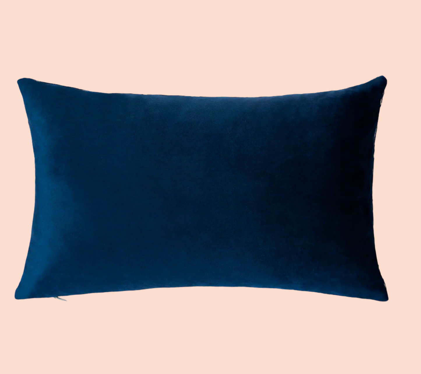 Please Leave By 9 Needlepoint Cushion