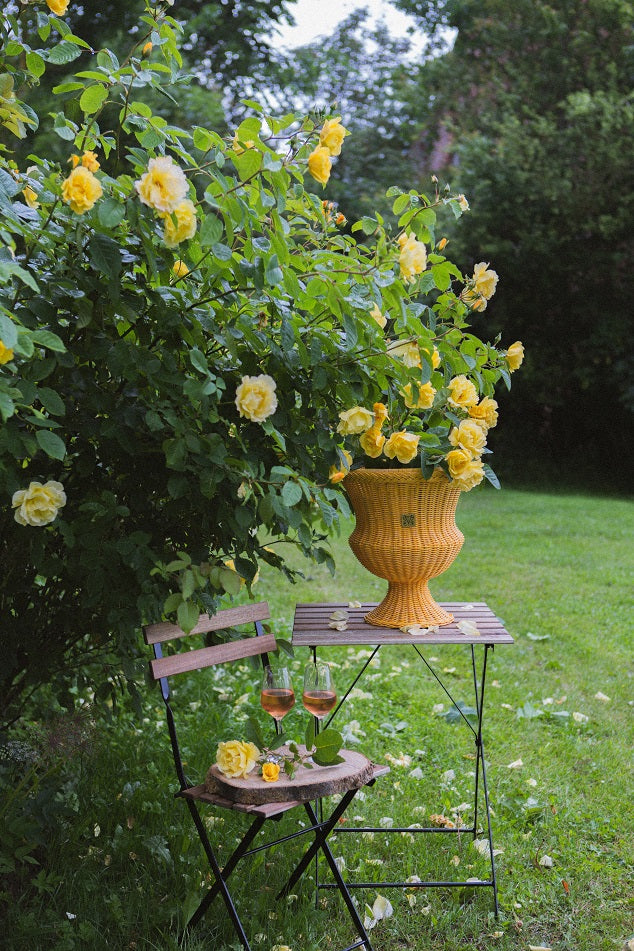 Vasevoll, Vase in Sunshine