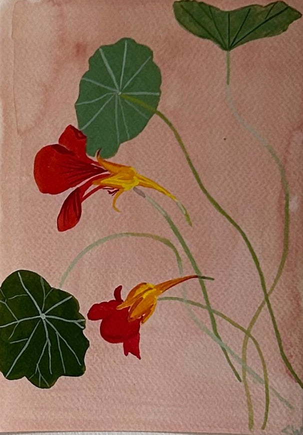 Lucy Wayne, 'Red Geranium' 2024