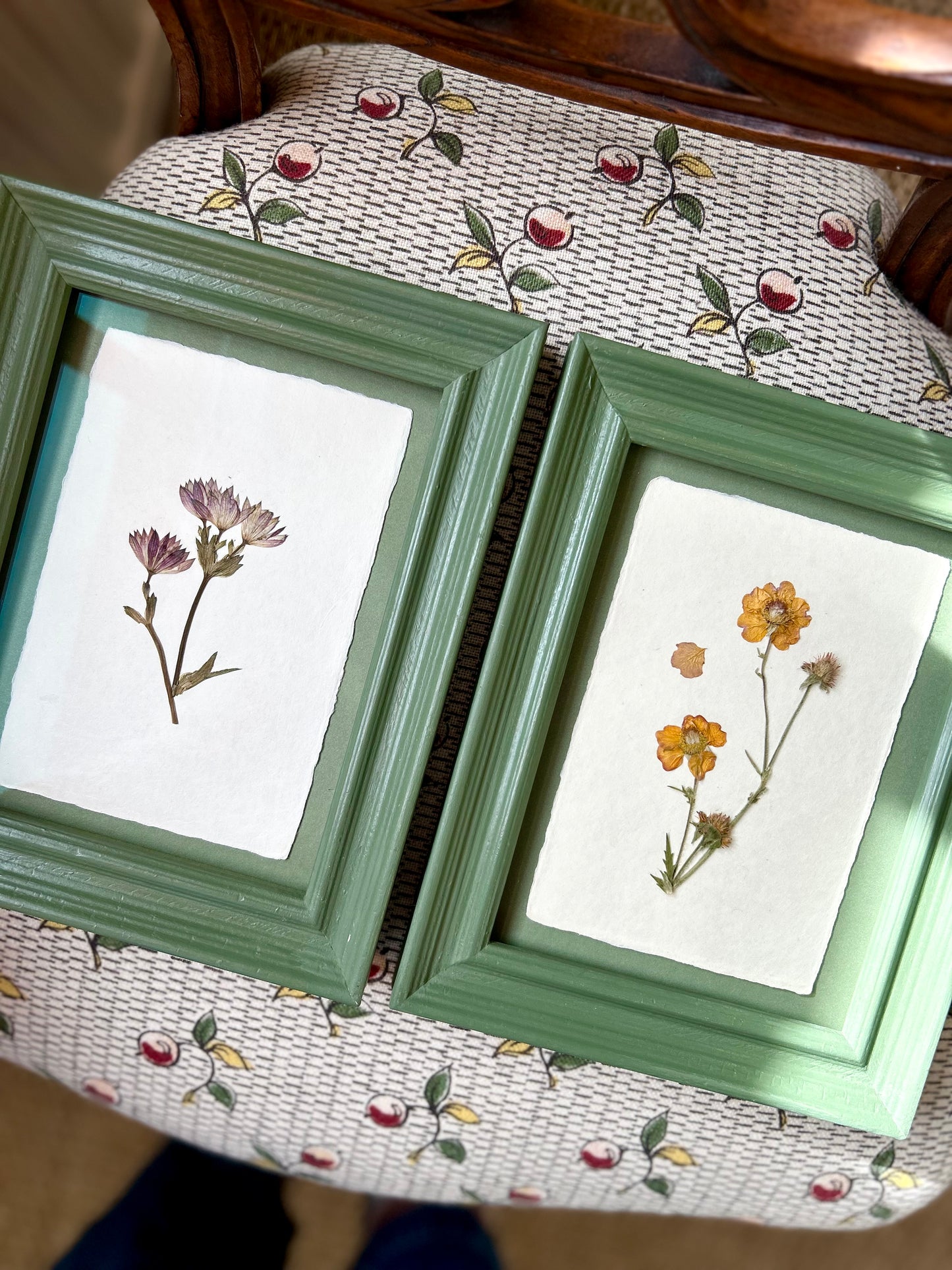 Clove at Home, ‘Pressed Astrantia Framed in Green' 2025