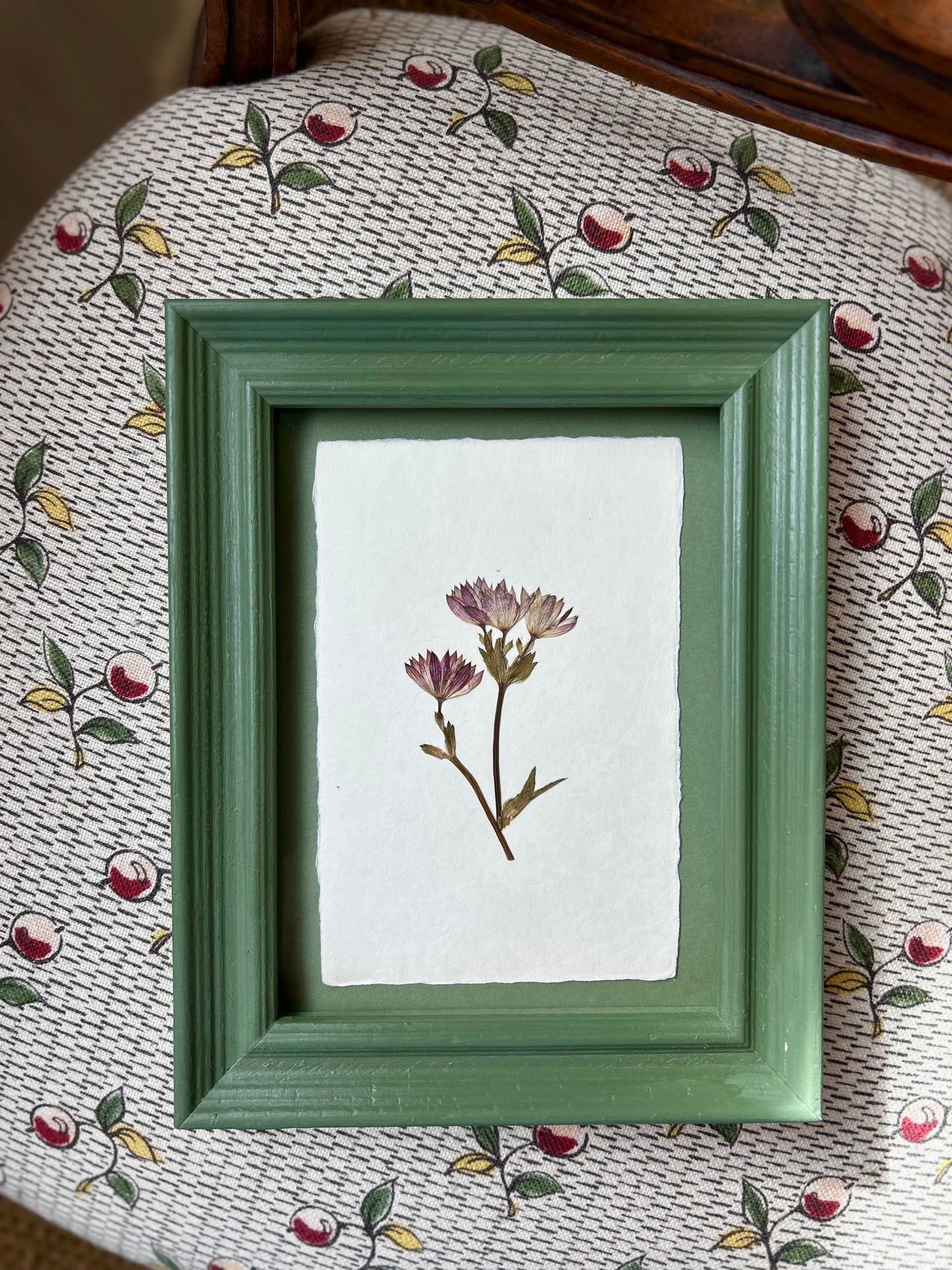 Clove at Home, ‘Pressed Astrantia Framed in Green' 2025