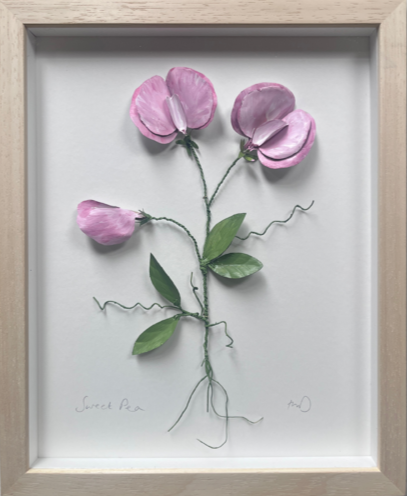 Fiona McDougall, 'Brass Painted Sweet-pea' 2025